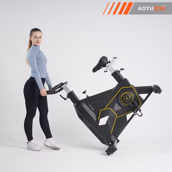 Equipo Bicicleta estática para el hogar Bicicleta giratoria magnética