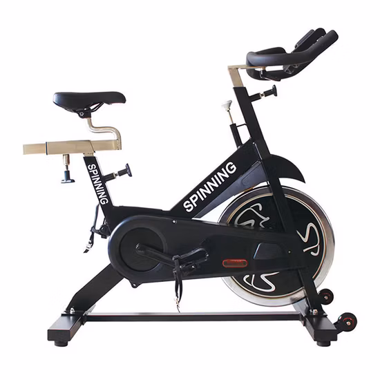 Bicicleta giratoria magnética de venta caliente
