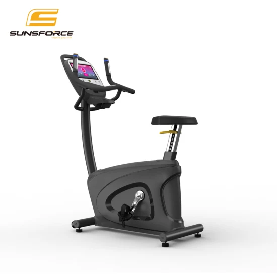 Comercio al por mayor en el interior del cuerpo en forma de bicicleta magnética comercial Healthware Gimnasio Profesional Spin/Spinning/Bicicleta estática Precio para Fitness/vertical/gigante/reclinado